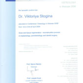 Stogina 2006